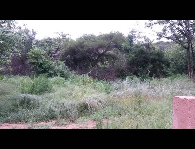 6HA FARM FOR SALE IN NELSPRUIT RURAL